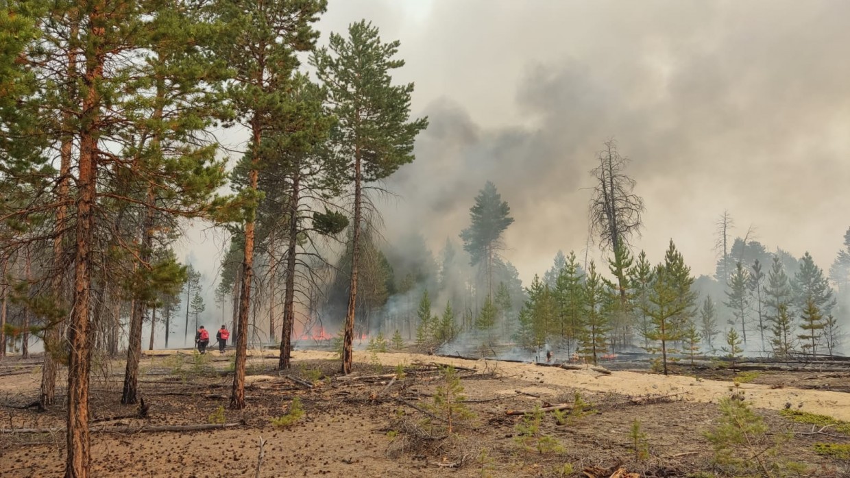 109 лесных пожаров зарегистрировано на территории Якутии