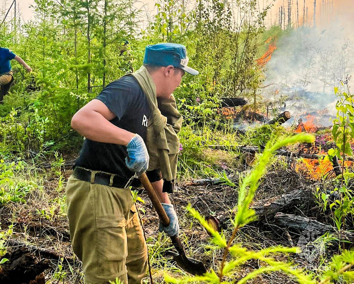 На особом контроле МЧС России 12 природных пожаров
