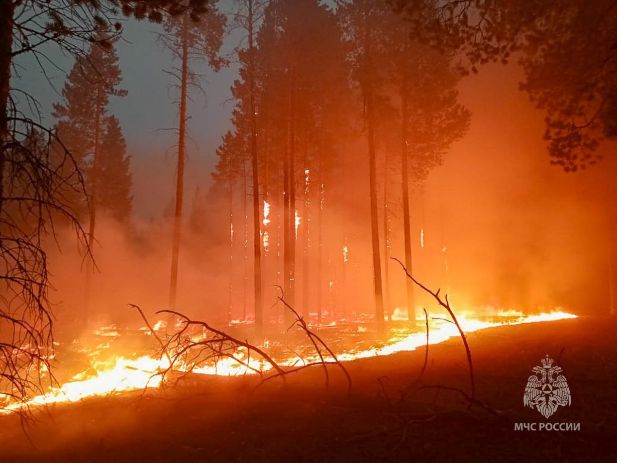 За сутки ликвидировано 20 природных пожаров