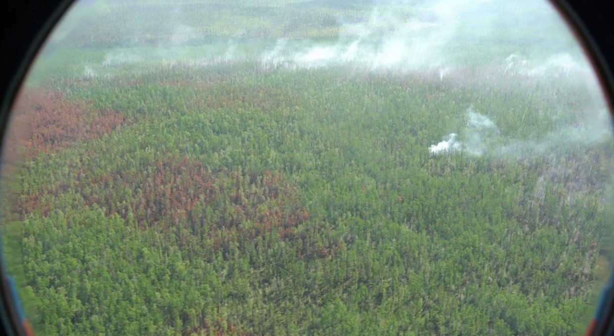 Еще 14 лесных пожаров потушено в Якутии за сутки