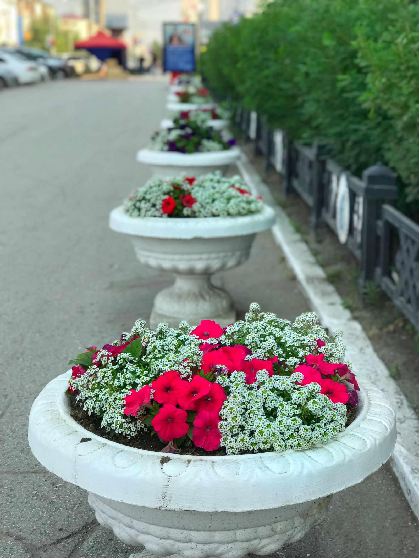 Радуга цветов  в Губинском округе