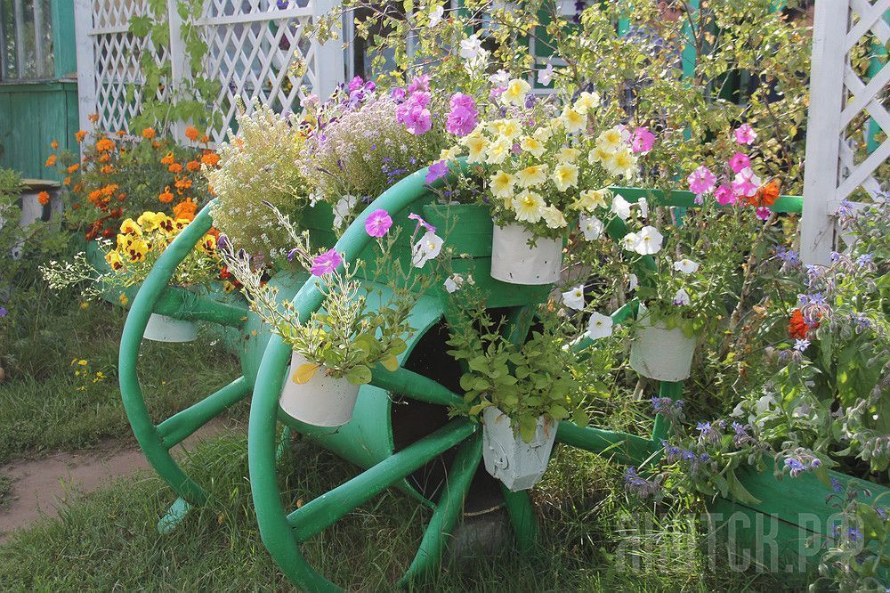 Городские цветы: как сделать свой двор красивым
