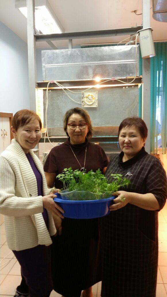 Школьники собрали урожай овощей, выращенных гидропонным способом