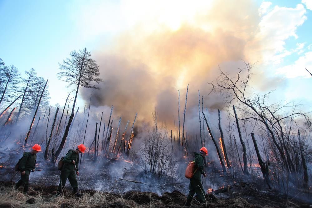 Лесные пожары тушили свыше 8 тысяч человек