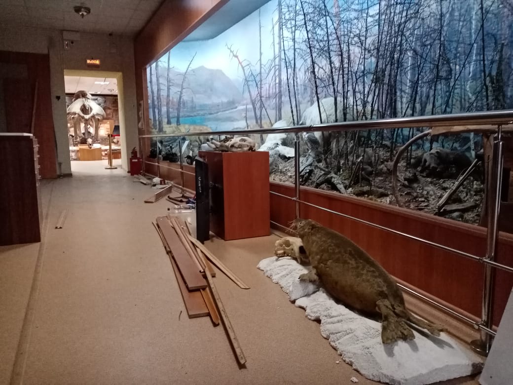 Музей имени Ярославского в Якутске закрывает часть экспозиций 