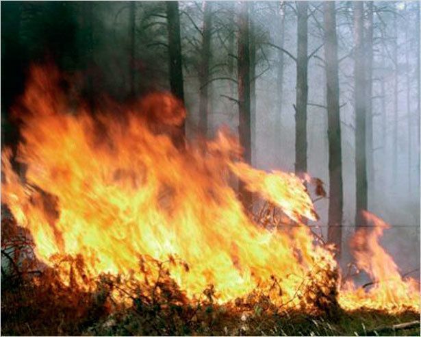 В Якутии бушуют 18 лесных пожаров