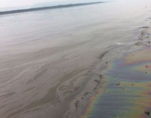 Экологи выявили причину загрязнения реки Лены в Олекминском районе Якутии