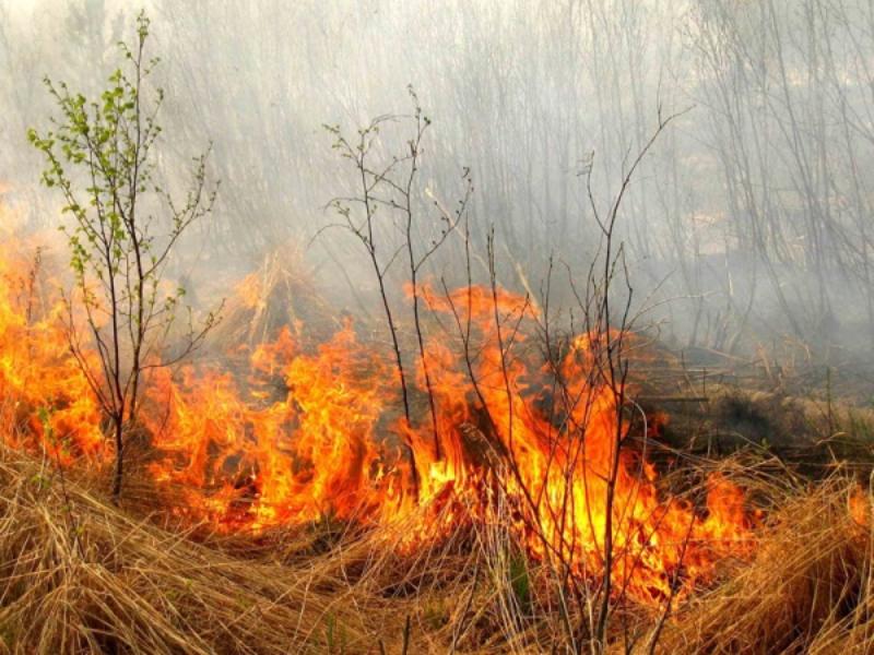 Якутская природоохранная прокуратура разъясняет: не становитесь виновниками лесных пожаров!